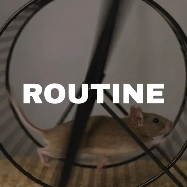 La routine